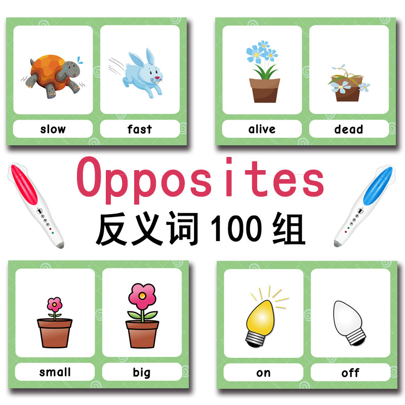 100 Kartu Flashcard Kata Bahas - Kids Educational Game ulasan dan harga