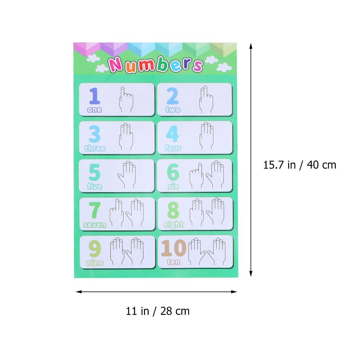 6 Buah Poster Hewan Anak-anak  - Kids Educational Posters ulasan dan harga