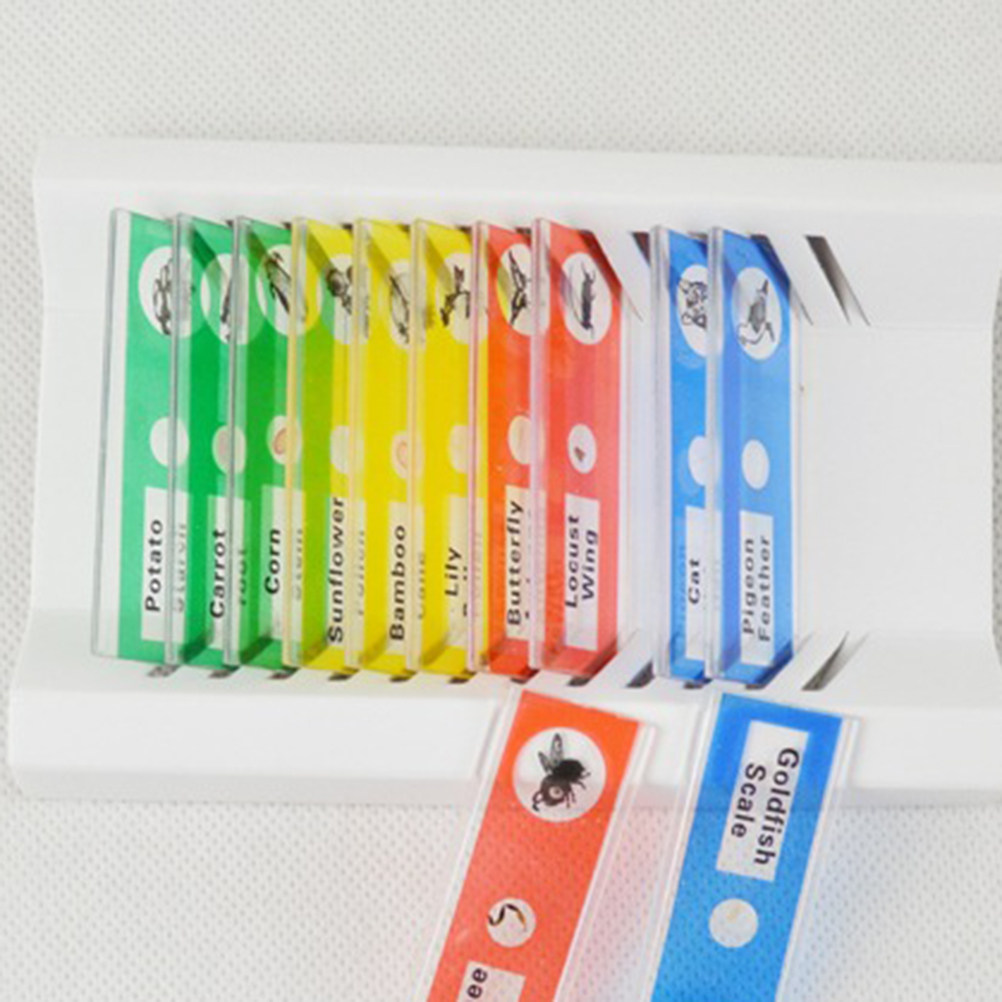 12Pcs Slide Mikroskop Plastik  - Kids Education Level ulasan dan harga