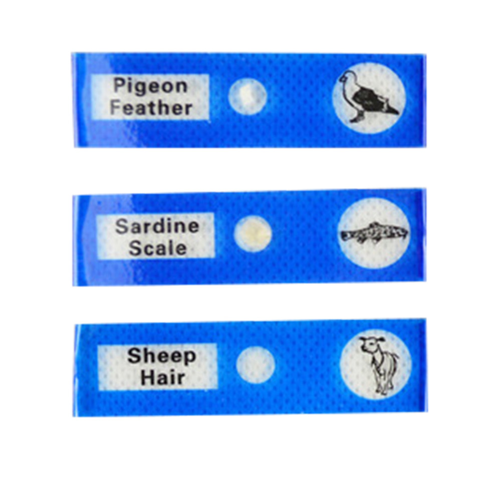 12Pcs Slide Mikroskop Plastik  - Kids Education Level ulasan dan harga