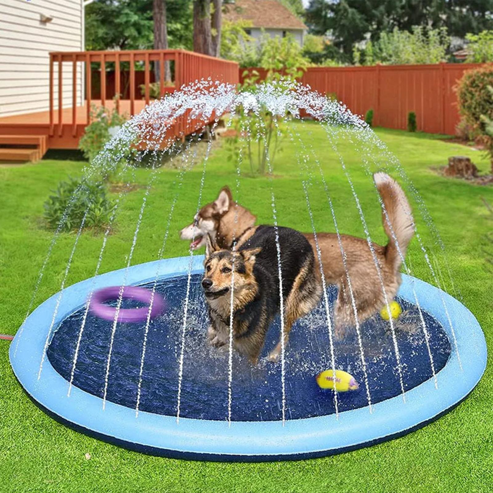 Alas Main Semprotan Air untuk  - Kids Education Rug ulasan dan harga